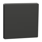 MERTEN - Wippe, Anthrazit, System Design