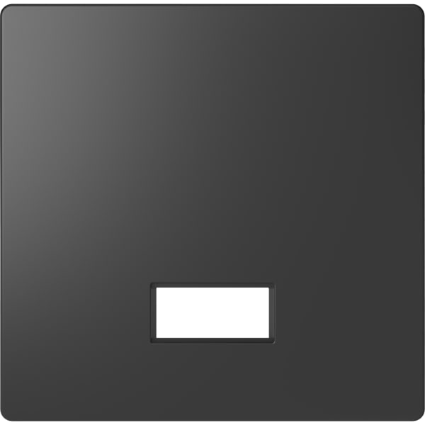 MERTEN - Wippe mit rechteckigem Symbolfenster, Anthrazit, System Design