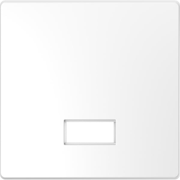 MERTEN - Wippe mit rechteckigem Symbolfenster, Lotosweiß, System Design