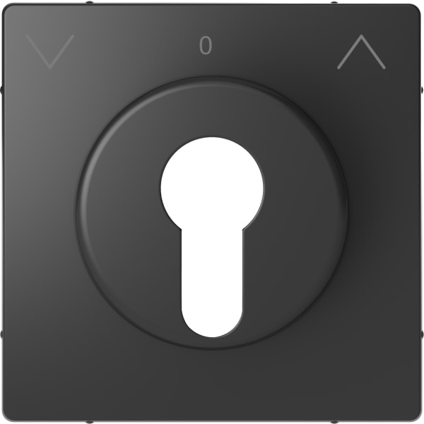 MERTEN - Zentralplatte für Rollladen-Tast-Rastschalter-Einsätze, Anthrazit, System Design