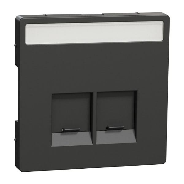 MERTEN - Zentralplatte für Actassi-Connector 2fach, Anthrazit, System Design