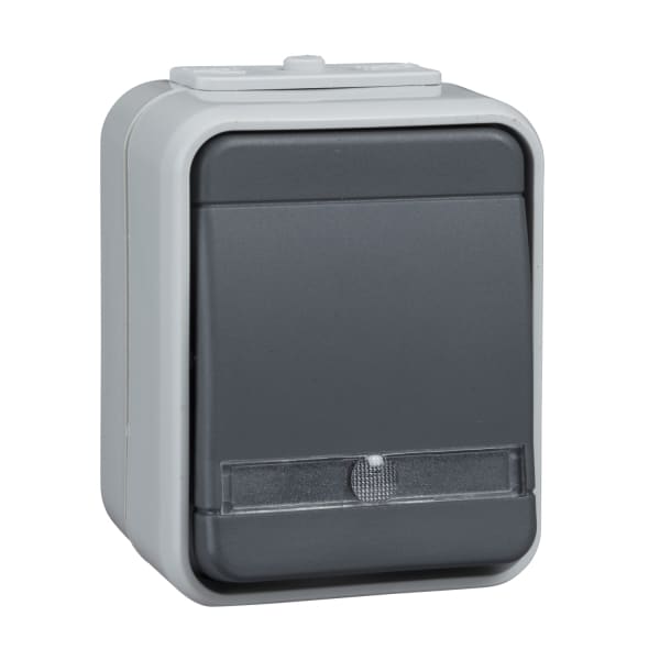 SCHNEIDER ELECTRIC - Taster beleuchtet 10A AQUATop Steckklemme licht/basaltgrau