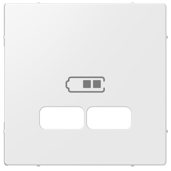 ELSO - Zentralplatte für USB Ladestation-Einsatz, reinweiß