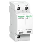 SCHNEIDER ELECTRIC - Überspannungsabl. iPRD8, Typ 3, Steckbare Schutzmodule, 1P+N, Imax 8kA