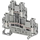 SCHNEIDER ELECTRIC - Zweistockklemme Schraub. 4mm² 4fach GR