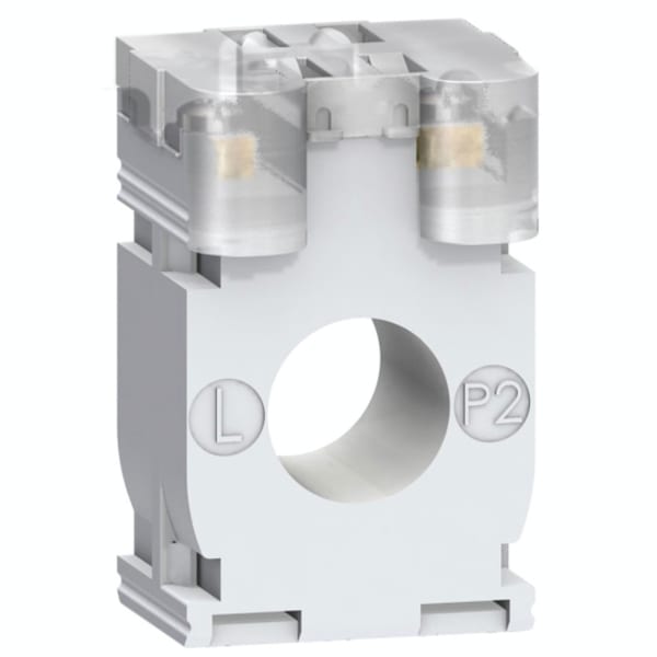 SCHNEIDER ELECTRIC - Wandler 100/5, Kl.0,5, 2VA, Kabel Dm21