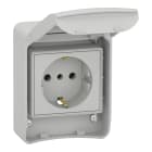 SCHNEIDER ELECTRIC - Anbausteckdosen, grau, 2p+E, 10/16A, 250 V, Deutschland, IP65