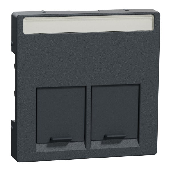 MERTEN - Zentralplatte für Actassi-Connector 2fach, anthrazit, System M