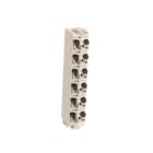SCHNEIDER ELECTRIC - Klemmenleiste, Modicon TM5, 12-polig, 24 VDC, VPE 10