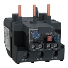 SCHNEIDER ELECTRIC - Motorschutzrelais, 37-50A, 1S+1Ö, Klasse 10A