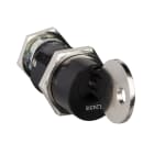 SCHNEIDER ELECTRIC - Ronis 1 identischer Schlüssel, mit Schlüssel EL24135