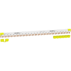 SCHNEIDER ELECTRIC - Acti9 Phasenschiene Stift, 1P+N, 9mm-Stift-Abstand, 80A, 24 Module, 4-Endkappen
