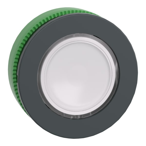 SCHNEIDER ELECTRIC - Leuchtdrucktaster Frontelement XB5F, Kunststoff, 30mm, ws, für LED+Einlegeschild