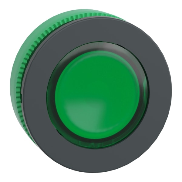 SCHNEIDER ELECTRIC - Leuchtdrucktaster Frontelement XB5F, Kunststoff, 30mm, gn, für LED+Einlegeschild