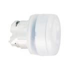 SCHNEIDER ELECTRIC - Drucktaster, Frontelement, XB4, Metall, 22mm, ws, vorst., tastend, Schutzkappe