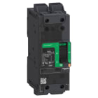 SCHNEIDER ELECTRIC - B-FRAME 125D+TM100D 2P 100A 18KA/480V EL