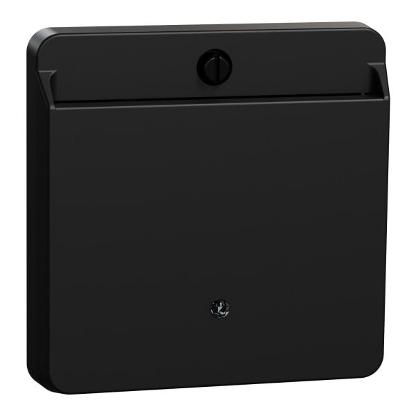 MERTEN - Card-Schalter mit Schriftfeld, schwarz matt, System M