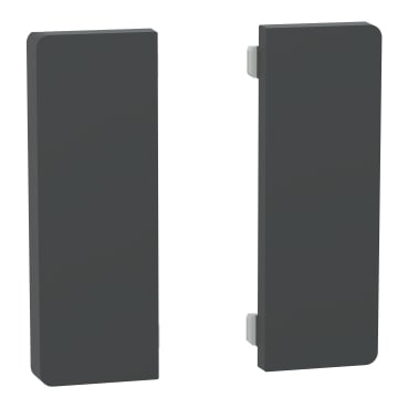 MERTEN - Tastsensor Flex, KNX, Merten System Design, 2fach, Wippe, Anthrazit