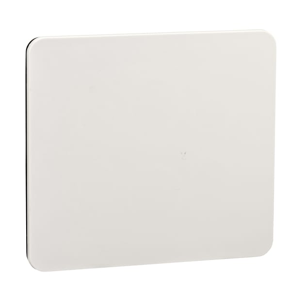SCHNEIDER ELECTRIC - Gehäusezubehör, 90x100mm-Platte, für Steuerungen mit Durchmesser 3x22mm