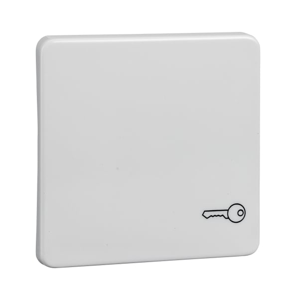 SCHNEIDER ELECTRIC - Wippe mit Symbol Schlüssel FASHION/RIVA/SCALA reinweiß