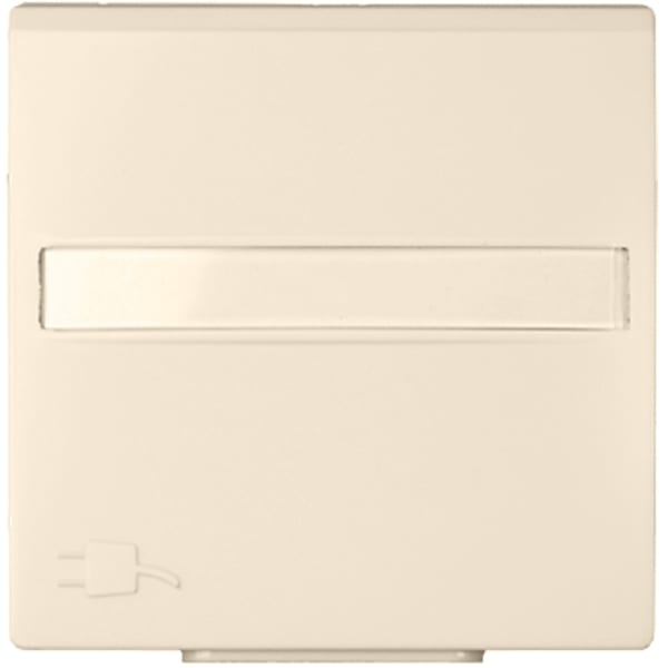 SCHNEIDER ELECTRIC - Zentralplatte für Steckdose mit Klappdeckel mit Schriftfeld JOY reinweiß