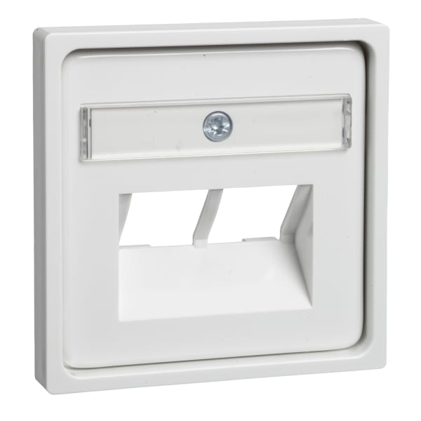SCHNEIDER ELECTRIC - Zentralplatte für 2xRJ45 mit Schriftfeld JOY reinweiß