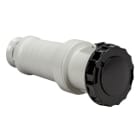 SCHNEIDER ELECTRIC - Industrie-Wechselsteckdose - 63 A - 3P+N+E - 480-500 V AC - IP67