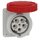 SCHNEIDER ELECTRIC - Anbausteckdose gerade- 63A, 3p+N+E, 380-415 V AC, IP67