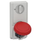 SCHNEIDER ELECTRIC - Anbausteckdose verriegelt, 32A, 3p+N+E, 380-415 V AC, IP65