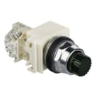 SCHNEIDER ELECTRIC - Grüner Leuchtdrucktaster Ø 30, vorst., o. Rastung, 24V, 1OC