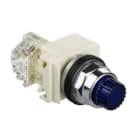 SCHNEIDER ELECTRIC - Leuchtdrucktaster, blau, Ø 30 - vorst., o. Rastung - 24V - 1OC
