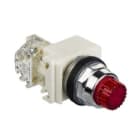 SCHNEIDER ELECTRIC - Leuchtdrucktaster, rot, Ø 30, vorst., o. Rastung, 24V, 1OC
