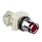 SCHNEIDER ELECTRIC - DRUCKTASTER 600VAC 10A 30MM T-K