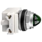 SCHNEIDER ELECTRIC - Leuchtmelder, achteckig Ø 30, grün, m. Glühlampe BA 9s, 24V AC/DC- IP66