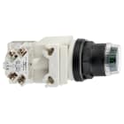 SCHNEIDER ELECTRIC - Leuchtdrucktaster, grün Ø 30, flach, Federrückstellung, 24 V, 1W
