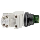 SCHNEIDER ELECTRIC - Leuchtdrucktaster, grün Ø 30, vorstehend, Federrückstellung, 24 V, 1W