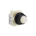 SCHNEIDER ELECTRIC - KONTROLLLEUCHTE 120VAC 30MM SK +OPTIONEN