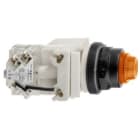 SCHNEIDER ELECTRIC - KONTROLLLEUCHTE 28V 30MM SK +OPTIONEN