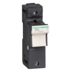 SCHNEIDER ELECTRIC - Sicherungshalter TeSys, 1p 125A, Sicherungsgröße 22x58mm