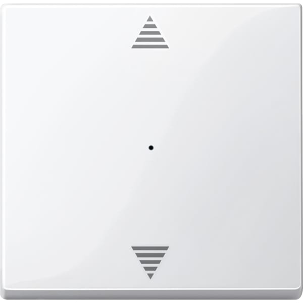SCHNEIDER ELECTRIC - Wippe für Taster-Modul 1fach (Pfeile Auf/Ab), reinweiß, JOY