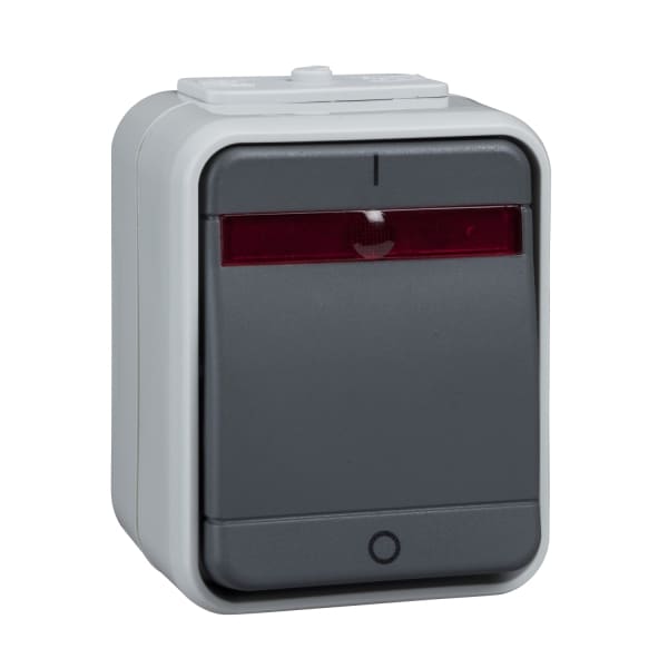 SCHNEIDER ELECTRIC - Ausschalter 2-polig beleuchtet 10A AquaTop Steckklemme licht/basaltgrau