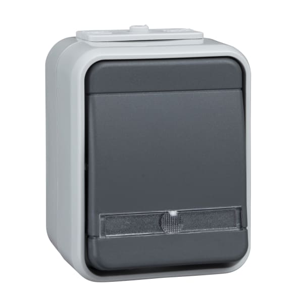 SCHNEIDER ELECTRIC - Taster beleuchtet separatem N-Leit 10A AquaTop Steckklemme licht/basaltgrau