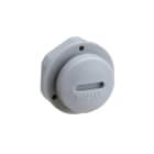 SCHNEIDER ELECTRIC - Mureva BOX, Verschlussstopfen, grau, M20