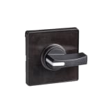 SCHNEIDER ELECTRIC - Betätigungselement 60x60mm, silberfarben- Knebel, schwarz, zum Gravieren