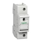 SCHNEIDER ELECTRIC - Sicherungs-Lasttrennschalter D02, 1P, 63A