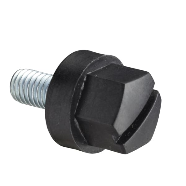 SCHNEIDER ELECTRIC - Isolierkopfschraube M5x10mm. Lieferung: 100 Einh.