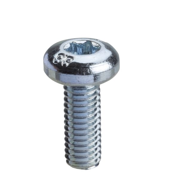 SCHNEIDER ELECTRIC - Spacial SF/SM-Torxschrauben, M6, 16mm, Verpackungseinheit: 100 Stück