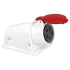 SCHNEIDER ELECTRIC - CEE Wandsteckdose, Schraubklemmen, 16A, 3p+N+E, 380-415 V AC