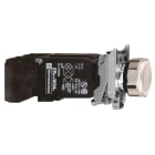 SCHNEIDER ELECTRIC - Leuchtdrucktaster, Harmony XB4, Metall, 22mm, weiß, unbeschriftet, Glülampe BA9s, glatte Kalotte, 1S+1Ö, 120V AC