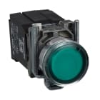 SCHNEIDER ELECTRIC - Leuchtdrucktaster, Harmony XB4, Metall, 22mm, grün, unbeschriftet, Glülampe BA9s, glatte Kalotte, 1S+1Ö, 230V AC